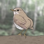 birdie-boo Profile Picture