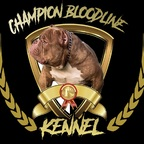Profile picture of cbkennells