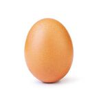 Profile picture of egg_slut
