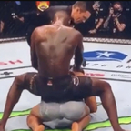Profile picture of freestylebender