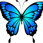 Profile picture of missbutterfly