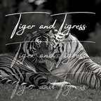 tigerandtigress Profile Picture