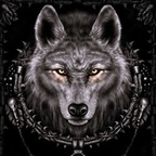 wolfie Profile Picture